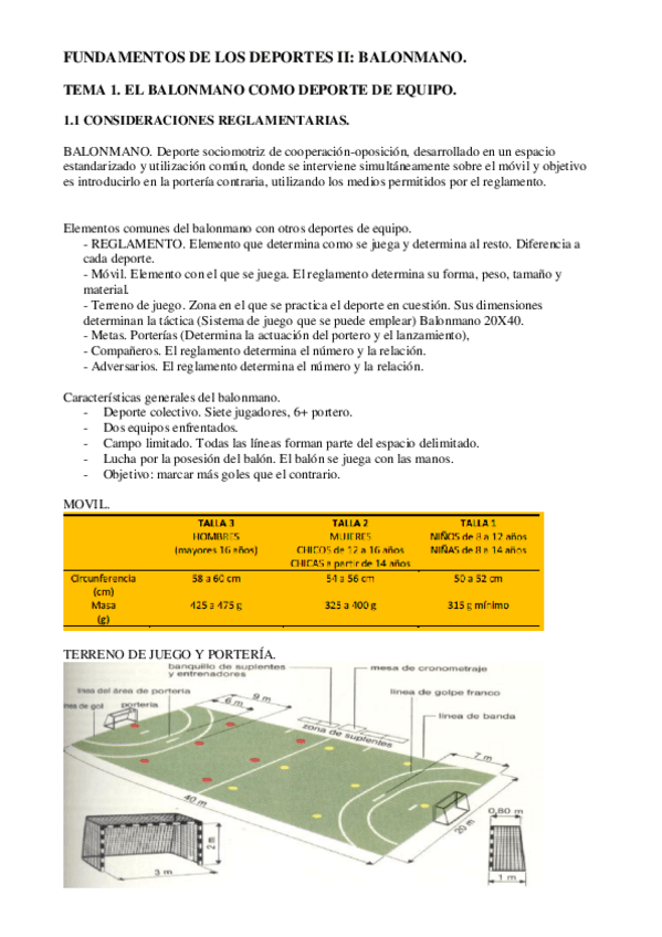 Miniatura del documento BALONMANO. RESUMEN. TEMARIO COMPLETO..pdf