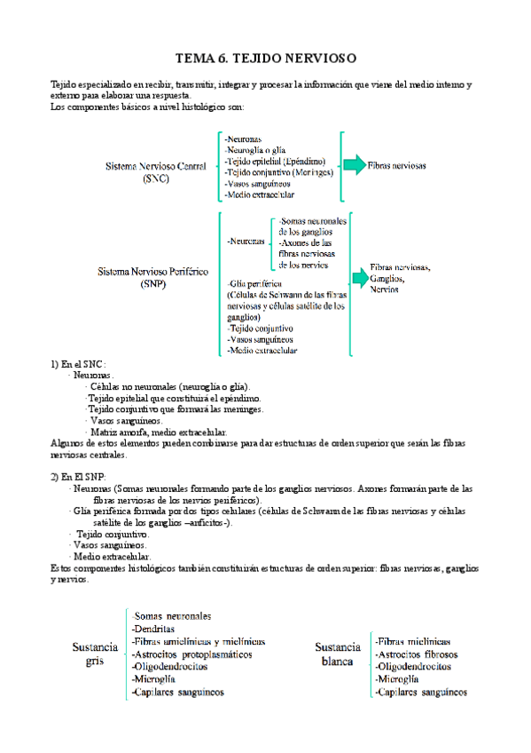 Miniatura del documento Tema 6 AP Tejido nervioso.pdf