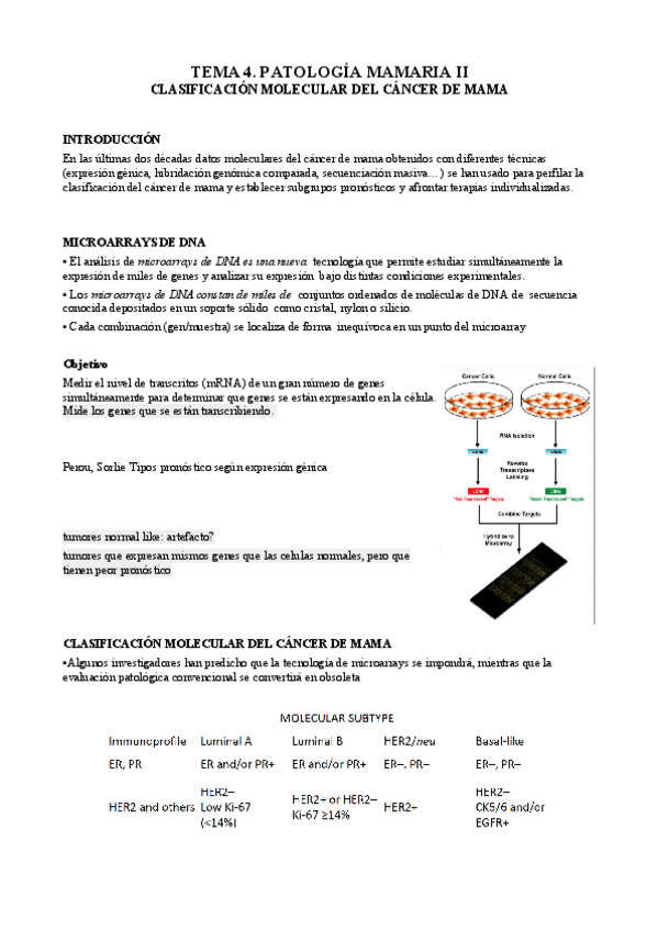 Miniatura del documento 4. Pat. Mamaria II.pdf