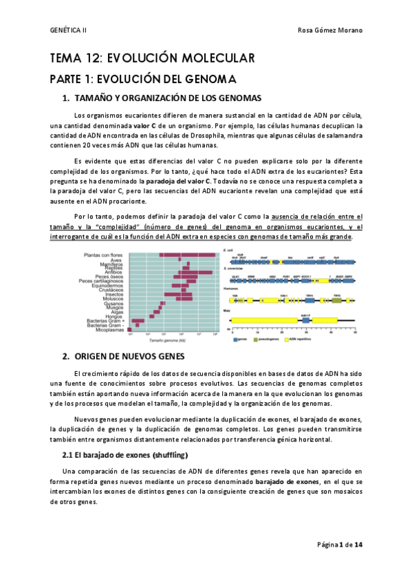 Miniatura del documento TEMA-12.pdf