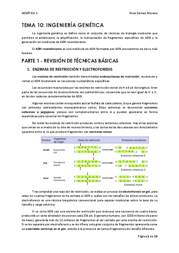 Miniatura del documento TEMA-10.pdf