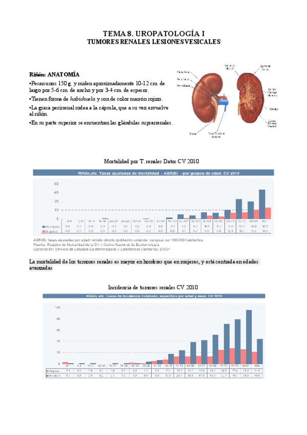 Miniatura del documento 8. Uropatología I.pdf