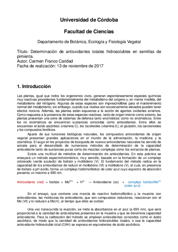 Miniatura del documento informe-FrancoCaridadCarmen.pdf