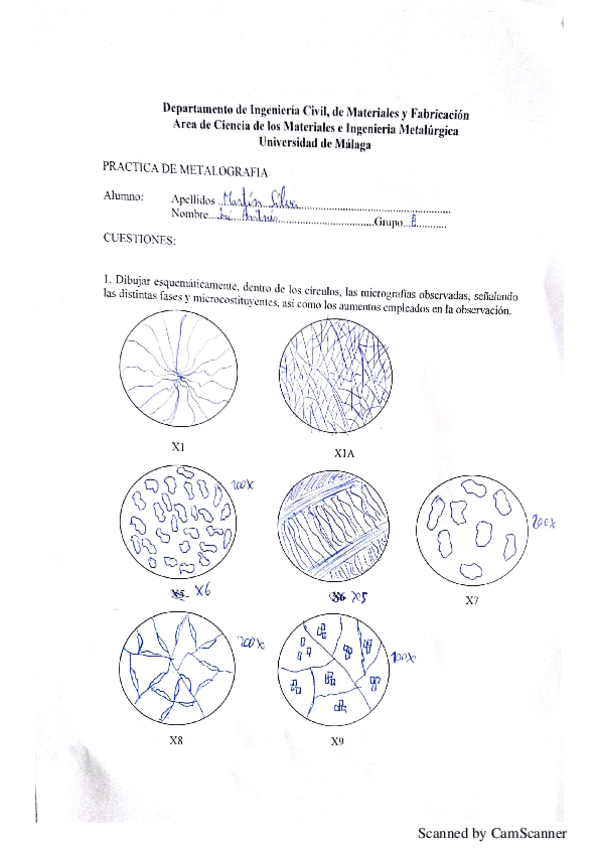 Miniatura del documento PrácticaCienciaMateriales.pdf