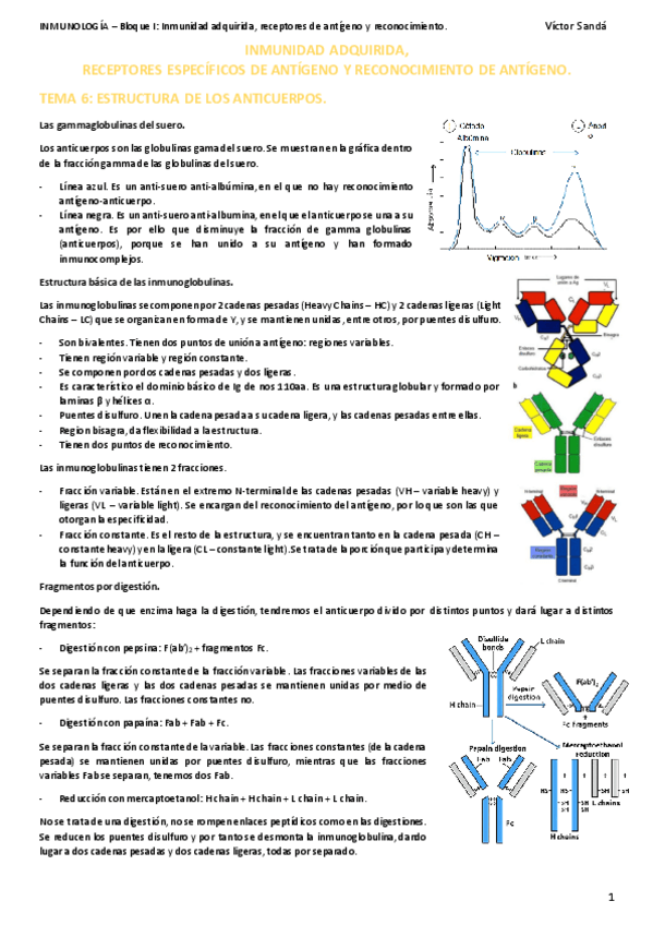 Miniatura del documento 3.-INMUNIDAD-ADQUIRIDA-TEMAS-6-7-8-y-9.pdf