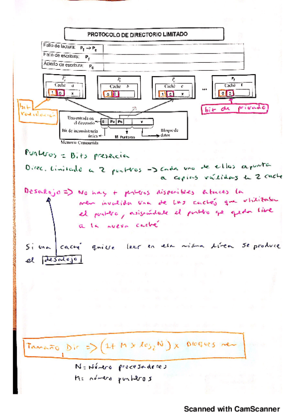 Miniatura del documento Protocolo-directorio-limitado20190517201506.pdf