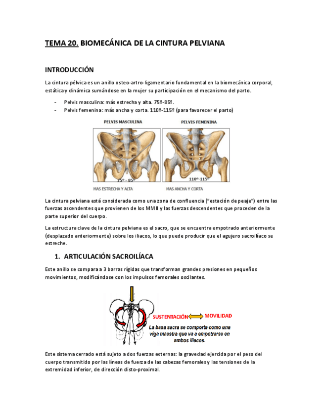 Miniatura del documento Tema-20.-Biomecanica-de-la-cintura-pelviana.pdf
