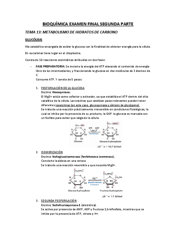 Miniatura del documento BIOQUIMICA-EXAMEN-FINAL-SEGUNDA-PARTE.pdf