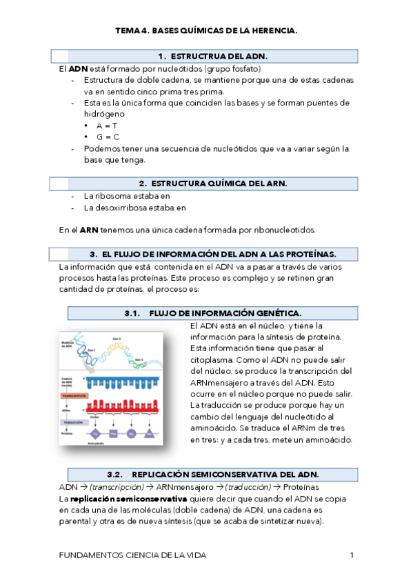 Miniatura del documento TEMA-4.-BASES-QUIMICAS-DE-LA-HERENCIA.-.pdf