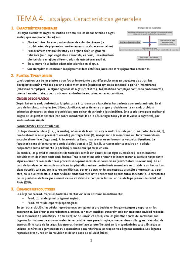 Miniatura del documento Tema-4.pdf
