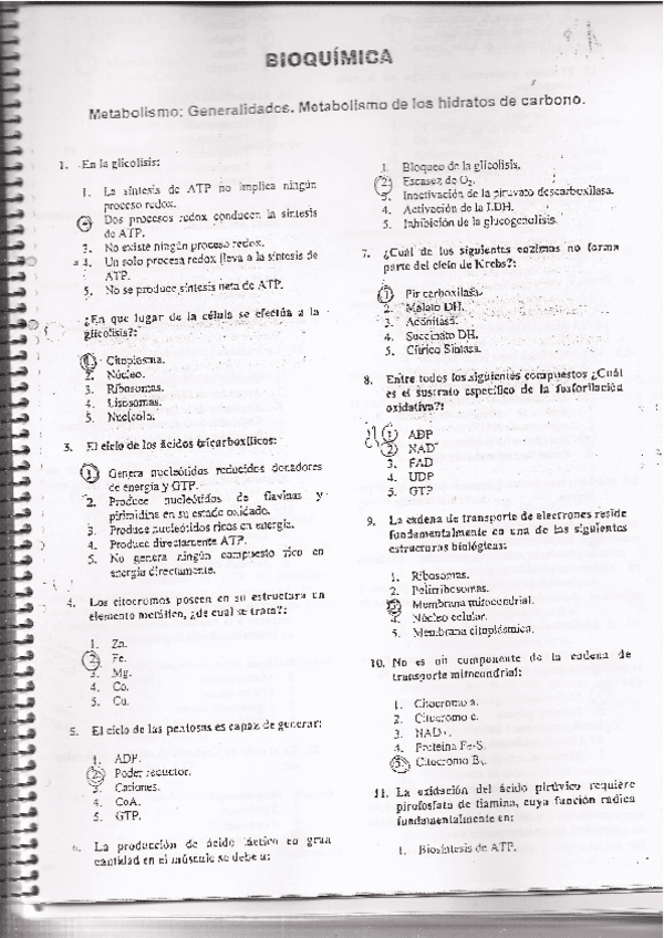Miniatura del documento Test Metabolismo Completo.pdf
