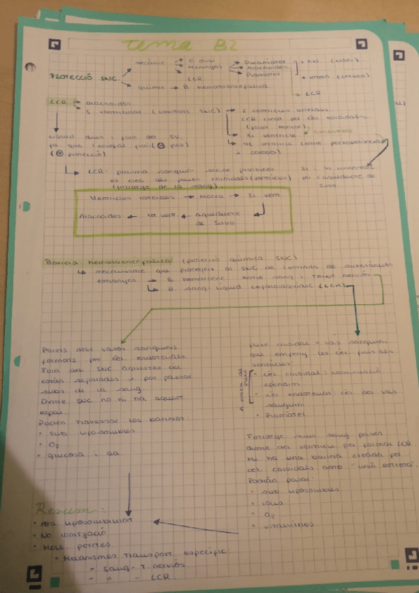 Miniatura del documento Resumen esquematizado temas 2-12.pdf