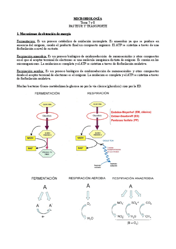 Miniatura del documento Tema-7-y-8.pdf