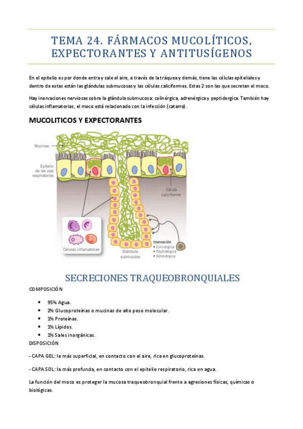 Miniatura del documento TEMA-24-FARMACOS-MUCOLITICOS.pdf
