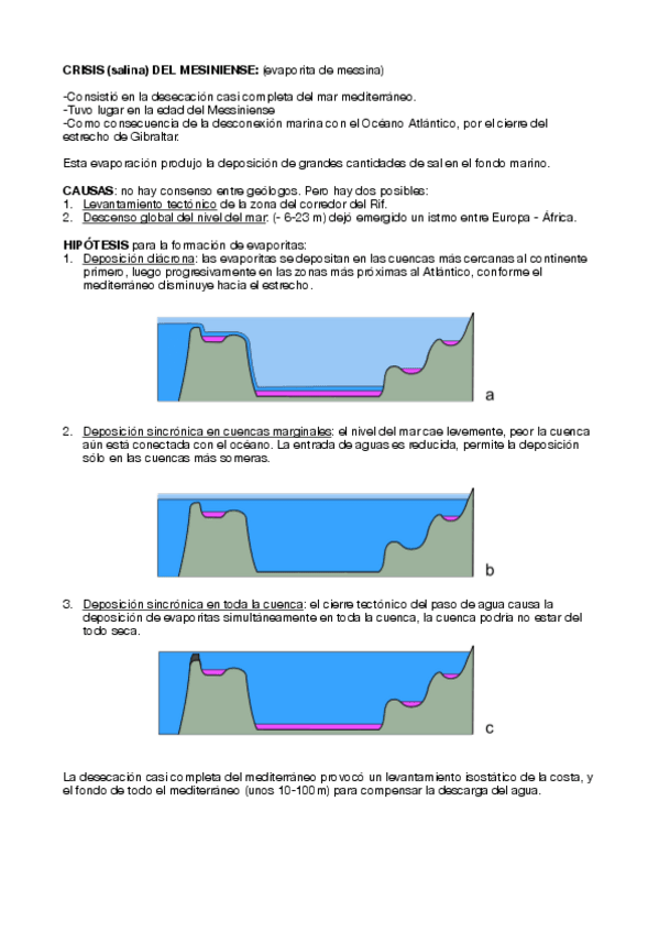 Miniatura del documento CRISIS-DEL-MESINIENSE.pdf
