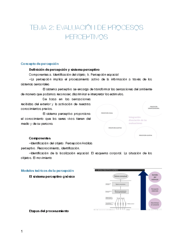 Miniatura del documento Elisa-2.pdf