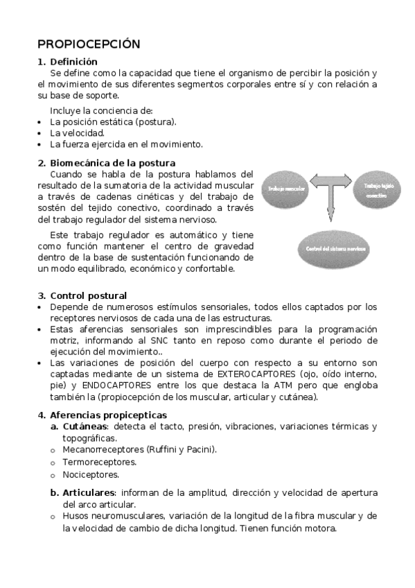 Miniatura del documento Propiocepcion.docx
