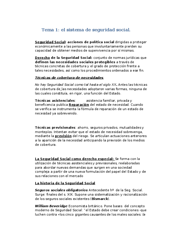 Miniatura del documento seguridad-social.doc
