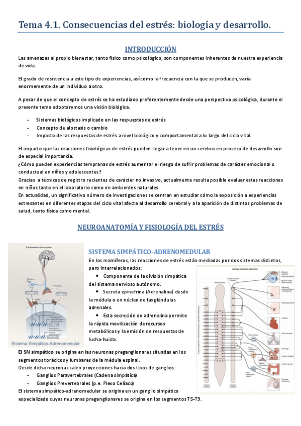 Miniatura del documento Tema-4.1.pdf
