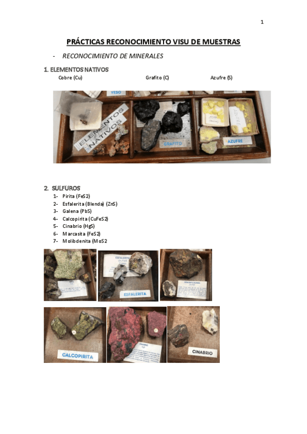 Miniatura del documento PRACTICAS-RECONOCIMIENTO-VISU-DE-MUESTRAS.pdf