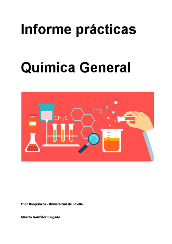 Miniatura del documento Informe-practicas.pdf