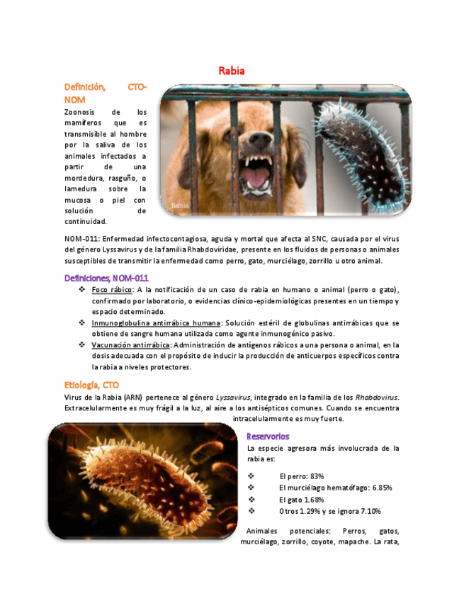 Miniatura del documento Rabia.pdf