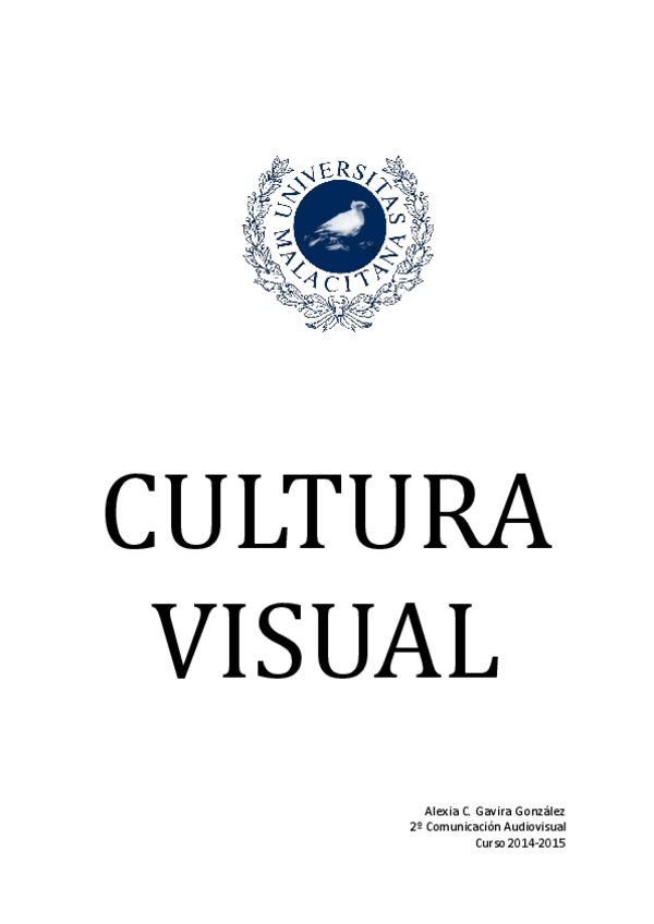 Miniatura del documento Cultura Visual.pdf