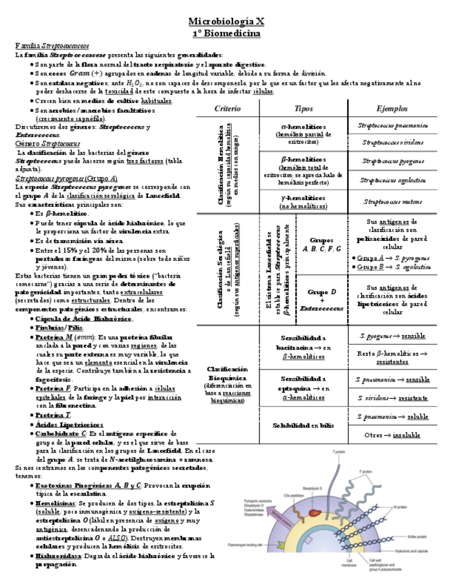 Miniatura del documento Tema-8-Microbiologia.pdf