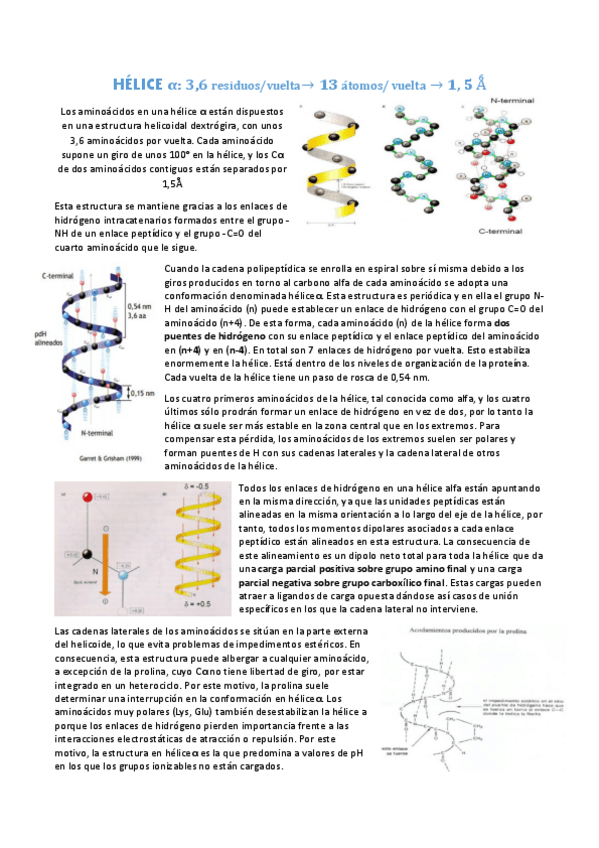 Miniatura del documento Tema 2.2 Hélice alfa.pdf