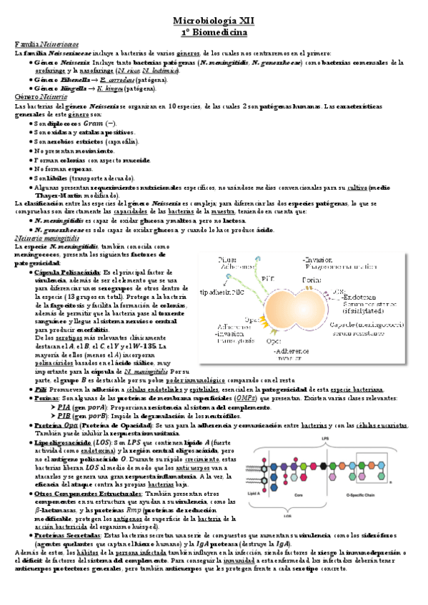 Miniatura del documento Tema-10-Microbiologia.pdf