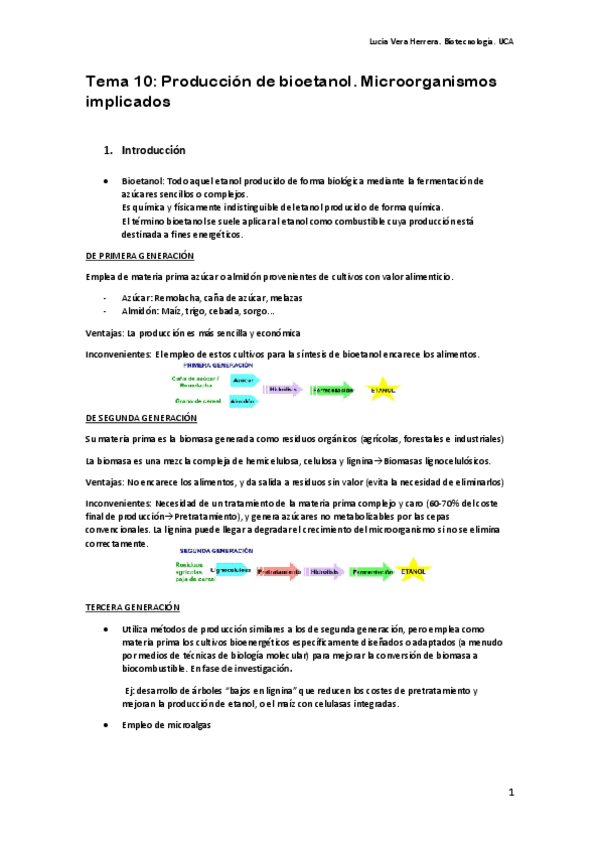 Miniatura del documento Tema 10. Producción de bioetanol.pdf