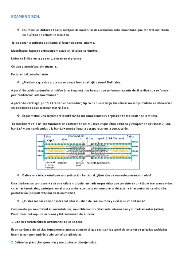 Miniatura del documento EXAMEN_RESUELTO_3.pdf