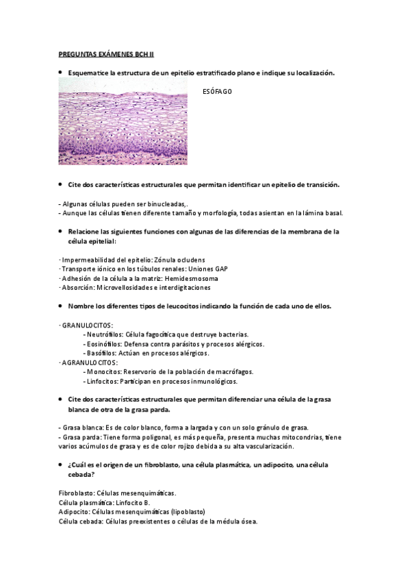 Miniatura del documento PREGUNTAS_EX_MENES_BCH_II_.pdf