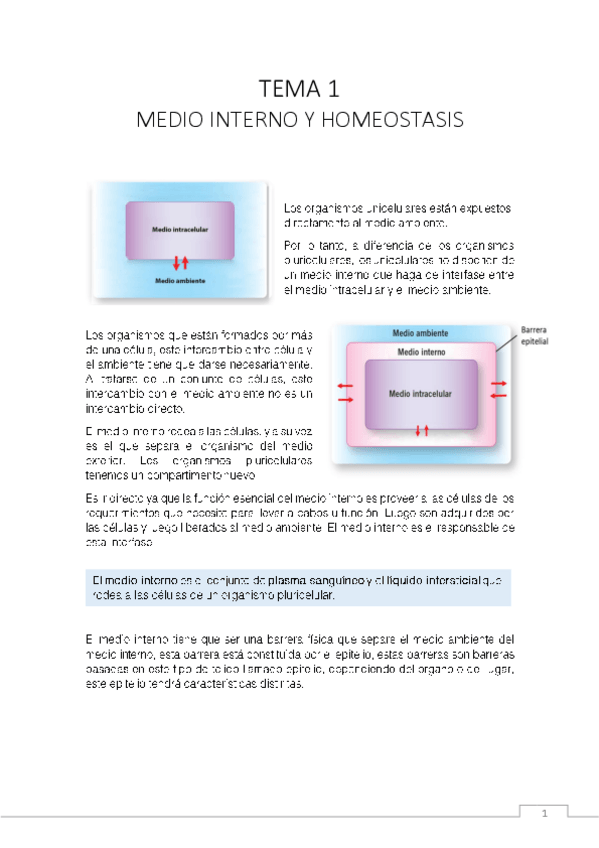 Miniatura del documento CM1.pdf