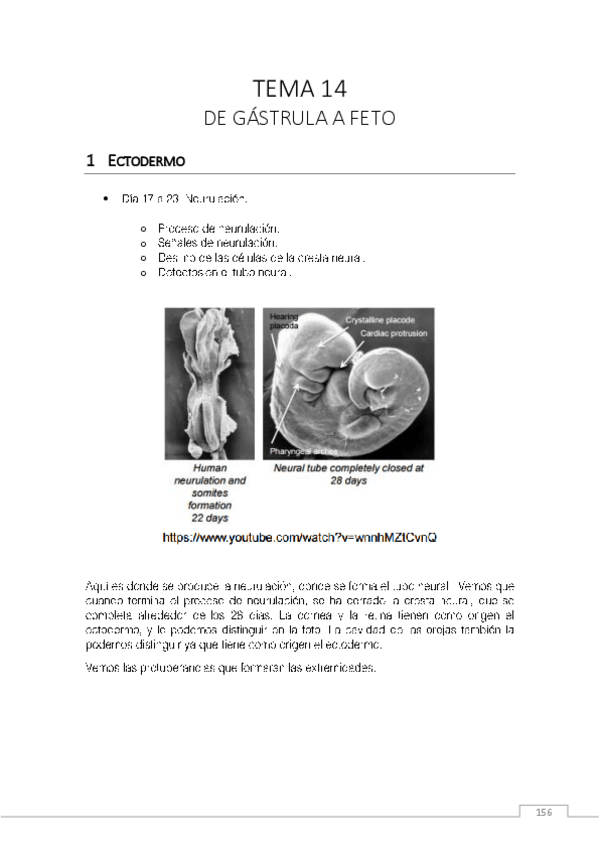 Miniatura del documento CM-15.pdf