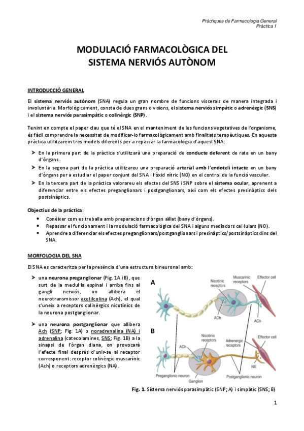 Miniatura del documento PRACTICA-1-RESOLTA-F.-GENERAL.pdf