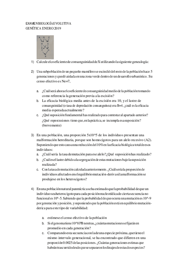 Miniatura del documento EXAMEN-BIOLOGIA-EVOLUTIVA-GENETICA-2019.pdf