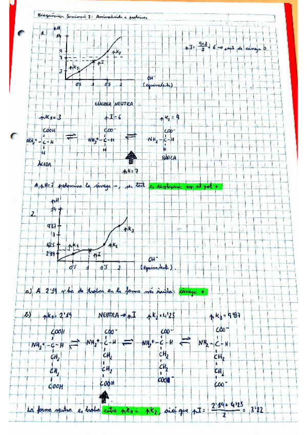 Miniatura del documento Seminari-3-Aminoacids-i-proteines.pdf