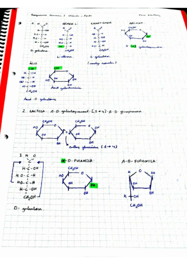 Miniatura del documento Seminari-2-Glucids-i-lipids.pdf