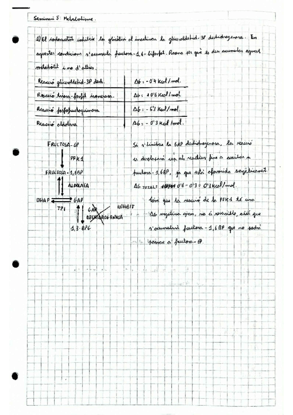Miniatura del documento Seminari-5-Metabolisme.pdf