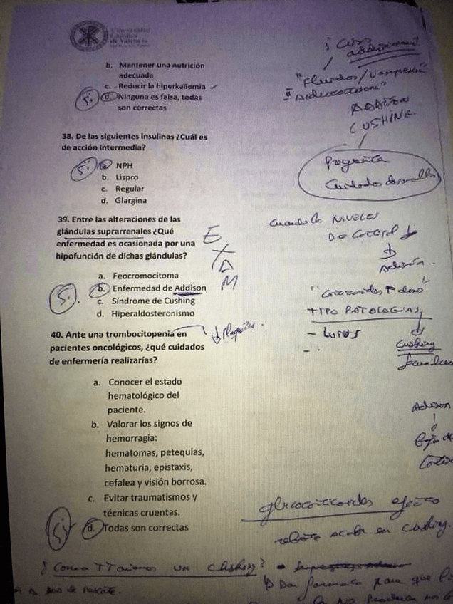 Miniatura del documento PHOTO-2018-06-12-11-39-26.jpg