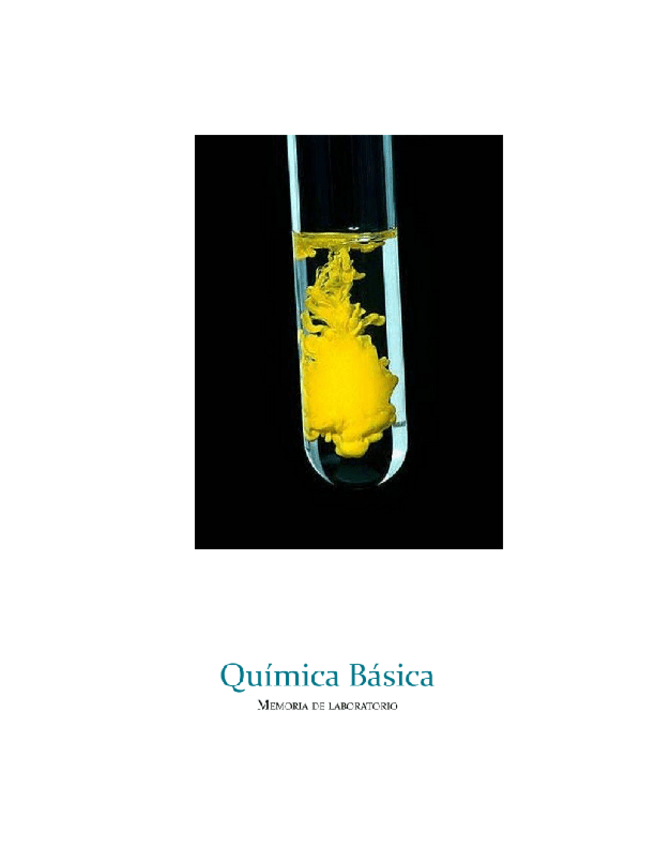 Miniatura del documento Lab-Quimica-Basica.docx.pdf