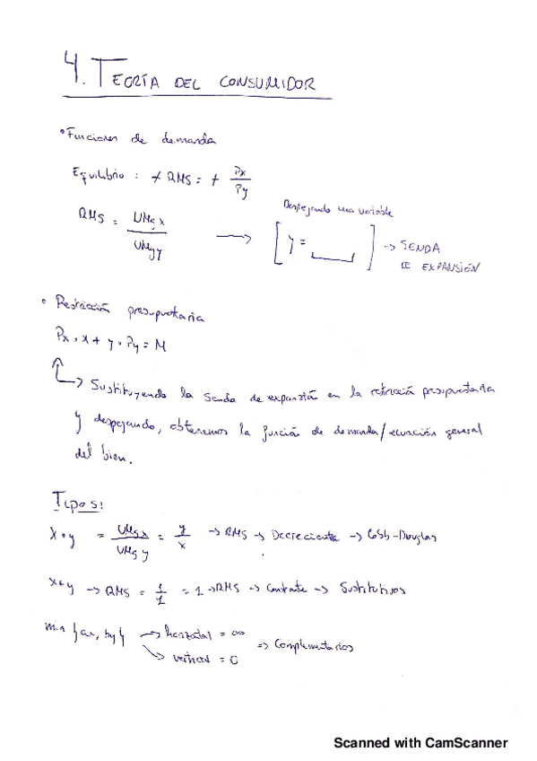 Miniatura del documento T.4-Teoria-del-consumidor-.pdf
