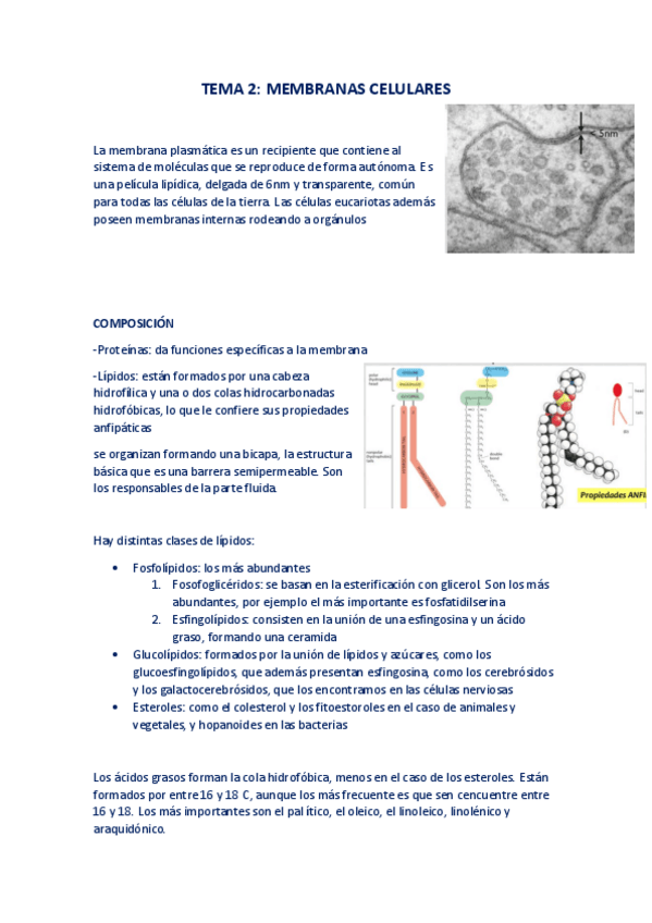 Miniatura del documento TEMA2-BIOLOGIA-CELULAR.pdf