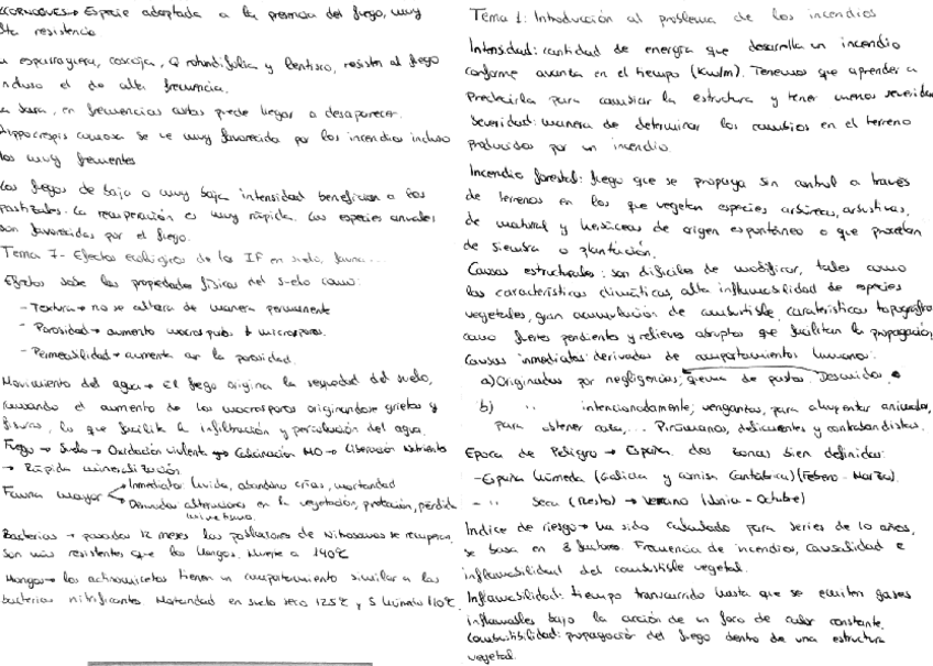 Miniatura del documento resumen-incendios.pdf