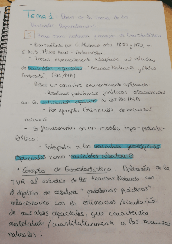 Miniatura del documento Temas 1-3 geoestadistica .pdf