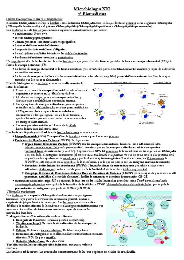 Miniatura del documento Tema-19-Microbiologia.pdf