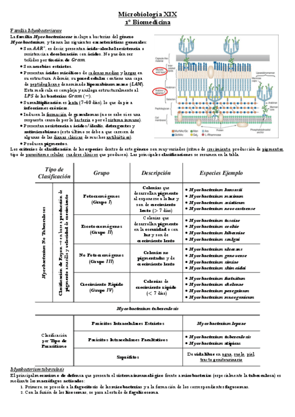 Miniatura del documento Tema-17-Microbiologia.pdf