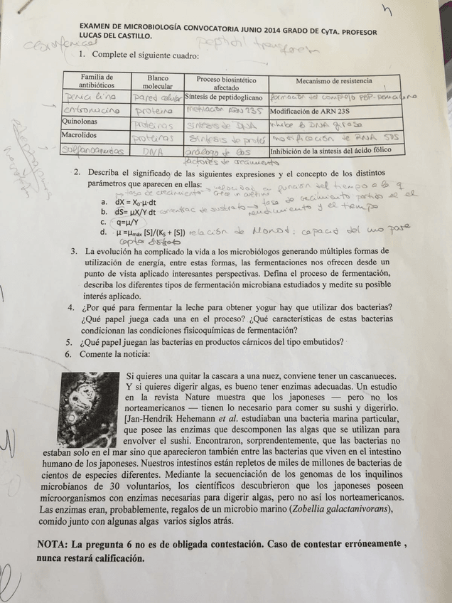 Miniatura del documento 0examexamenlucasdelcastillo.jpg