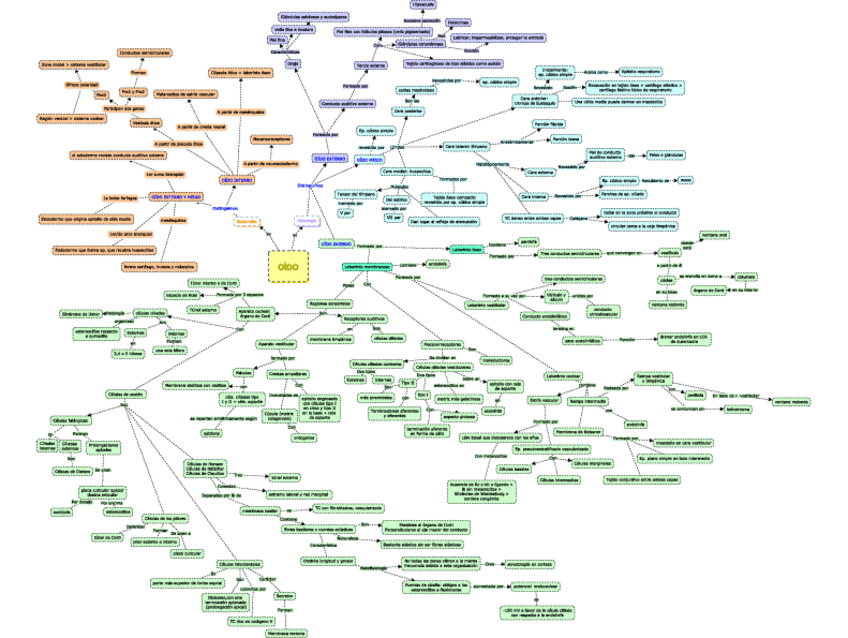 Miniatura del documento Oido-mapa-conceptual.pdf